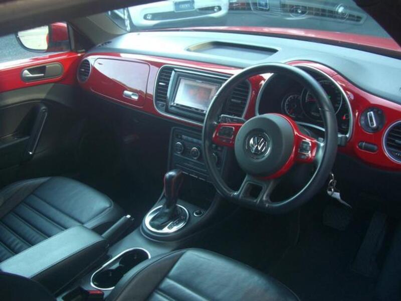 THE BEETLE