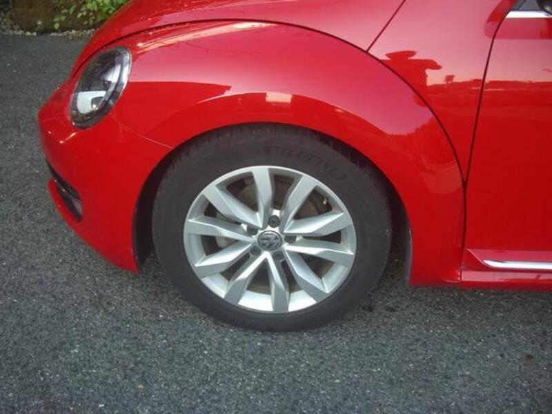 THE BEETLE