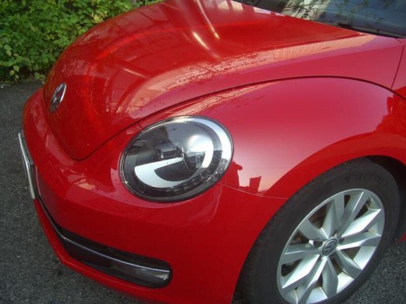 THE BEETLE