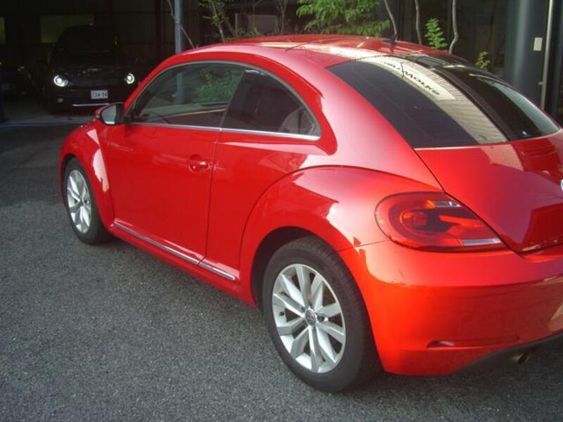 THE BEETLE