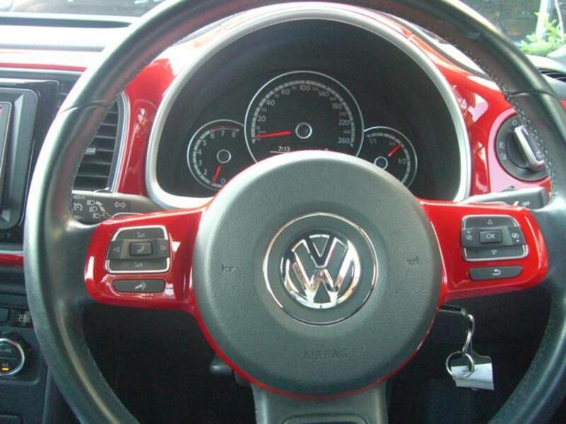 THE BEETLE