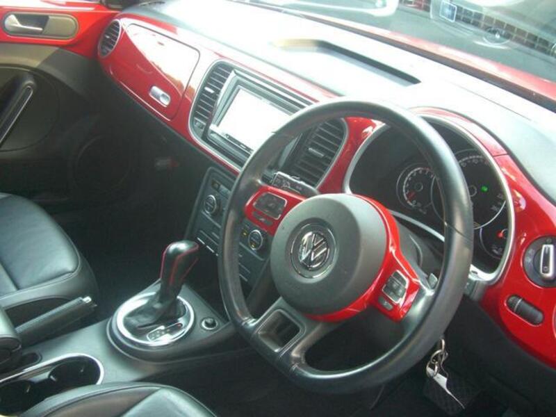 THE BEETLE