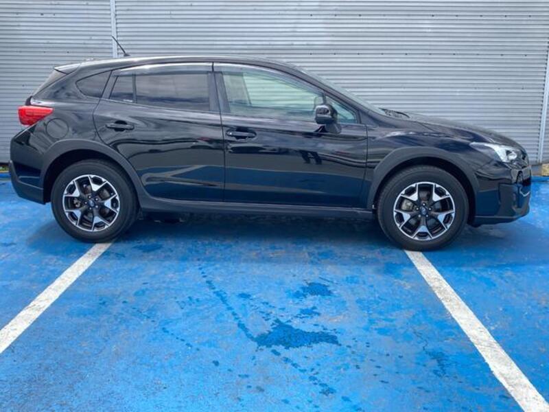 XV