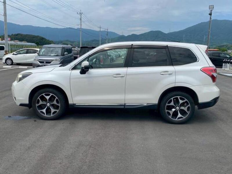 FORESTER