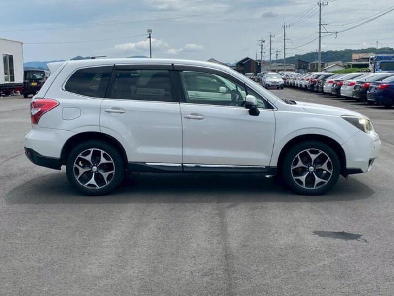 FORESTER