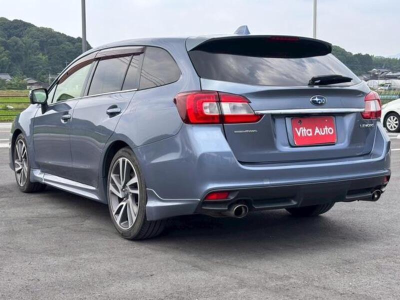 LEVORG