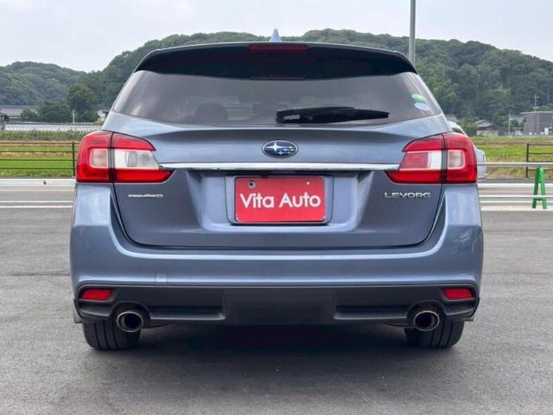 LEVORG