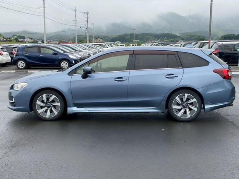 LEVORG