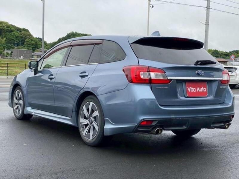 LEVORG