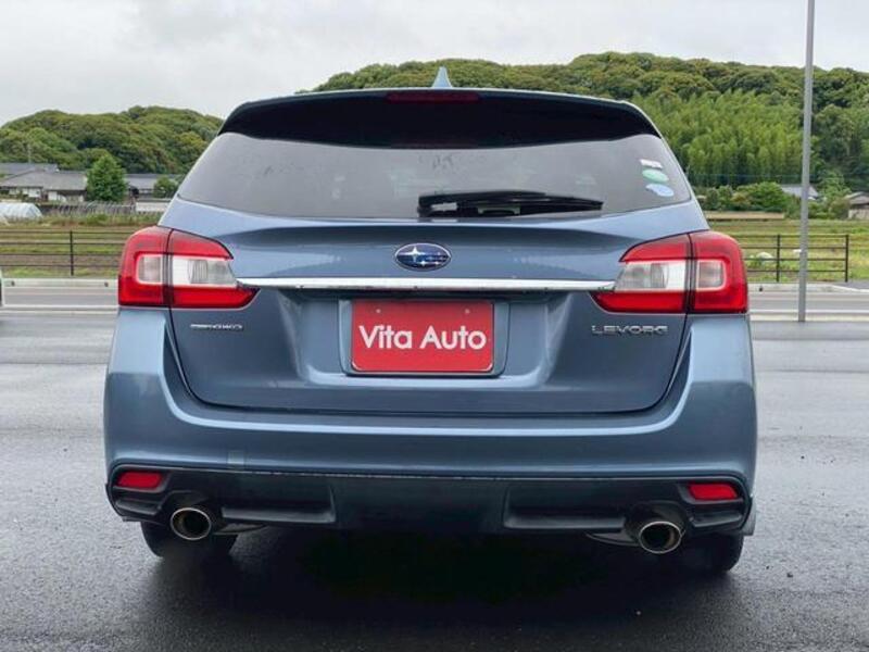LEVORG