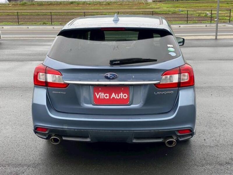 LEVORG