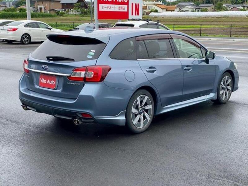 LEVORG