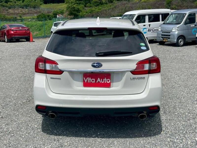 LEVORG