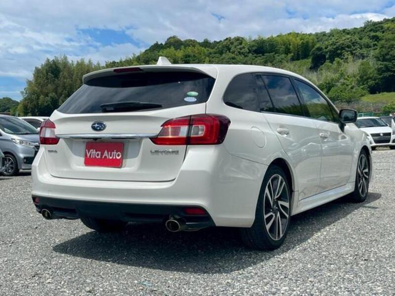 LEVORG
