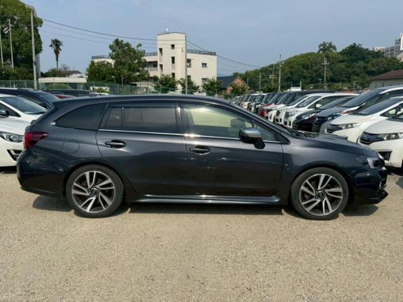 LEVORG