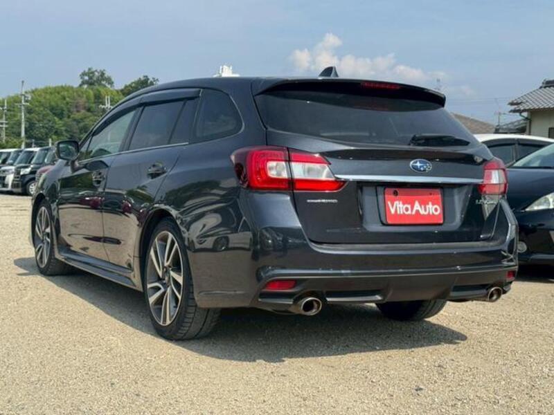 LEVORG