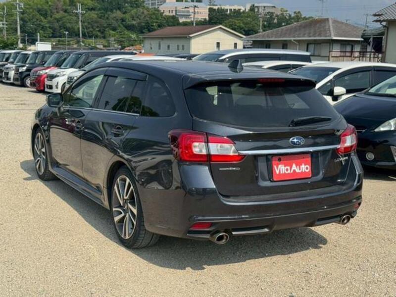 LEVORG