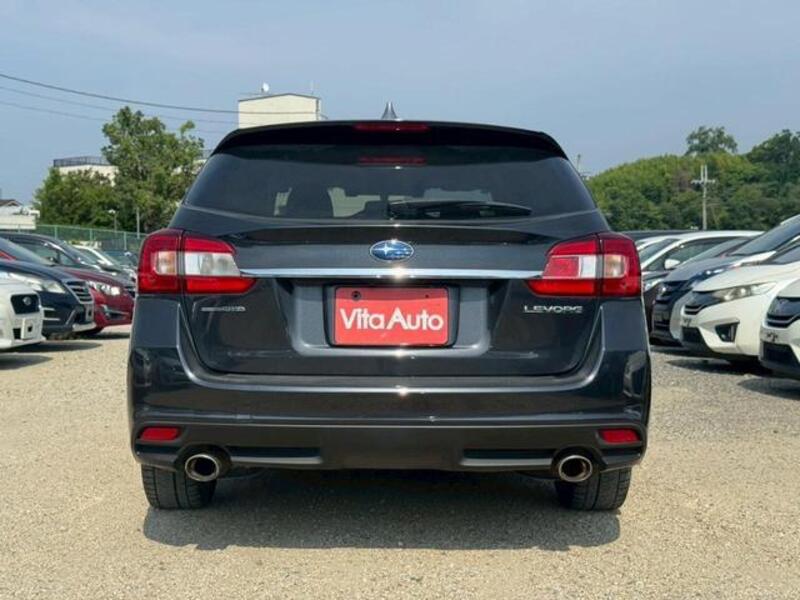 LEVORG
