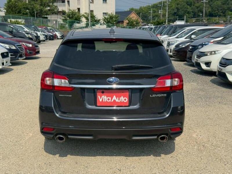 LEVORG