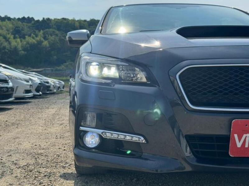 LEVORG