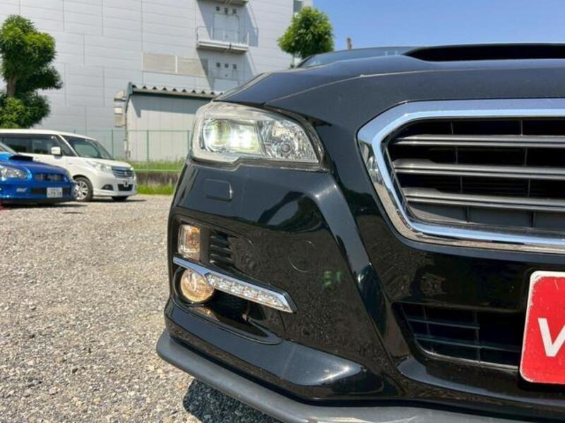 LEVORG
