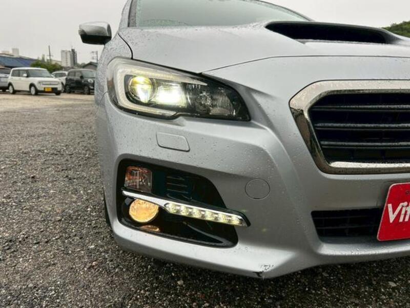 LEVORG