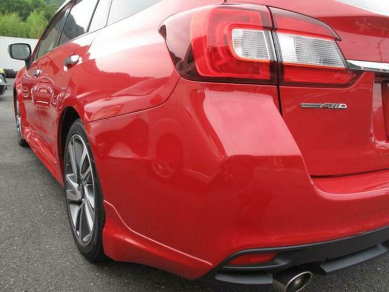 LEVORG