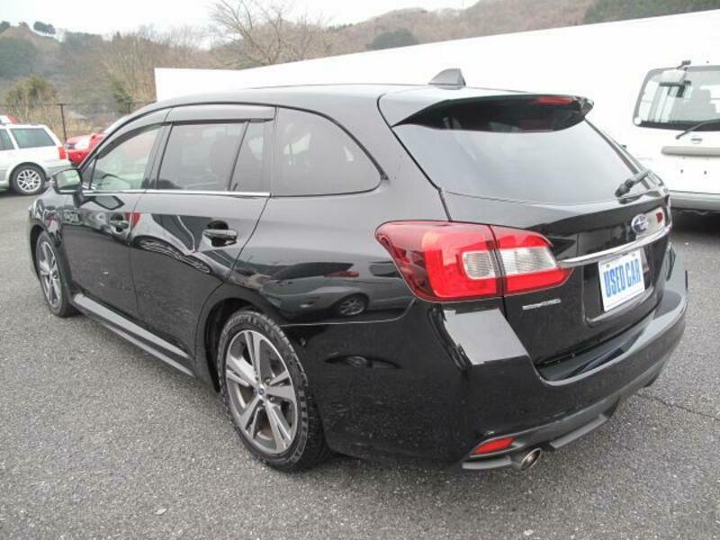 LEVORG