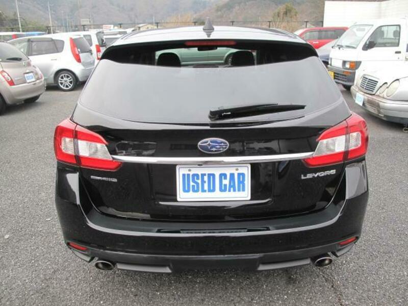 LEVORG