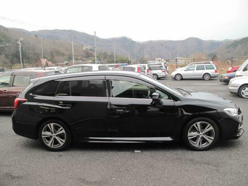 LEVORG