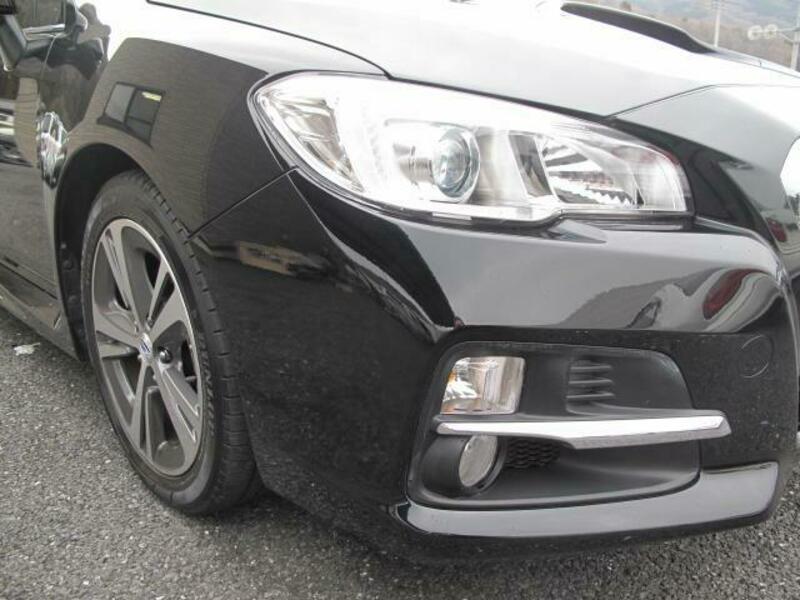 LEVORG