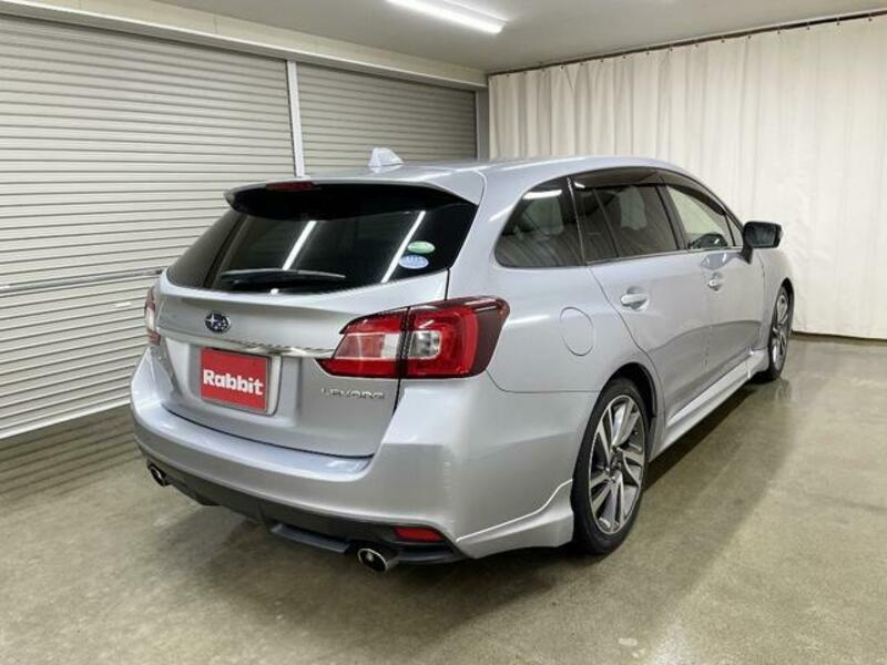 LEVORG