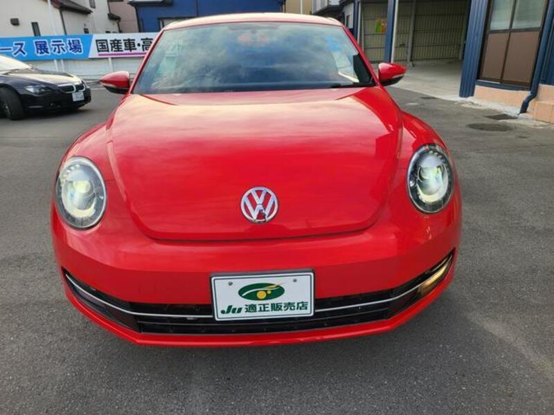 THE BEETLE
