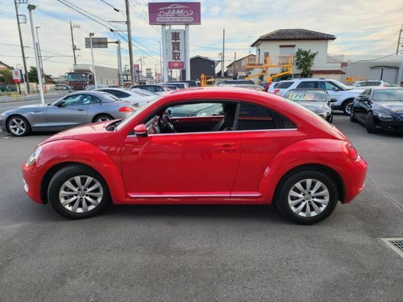 THE BEETLE