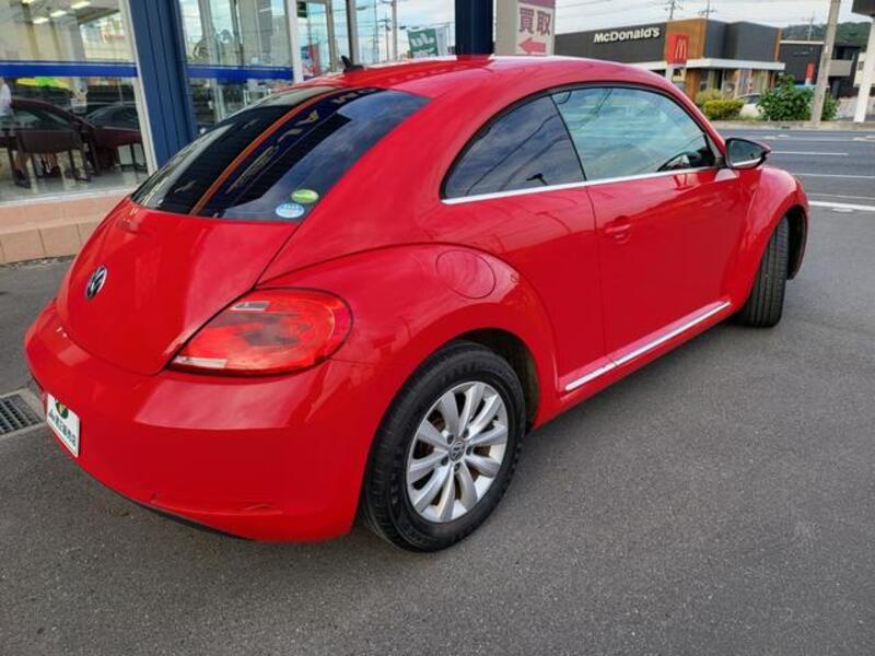 THE BEETLE