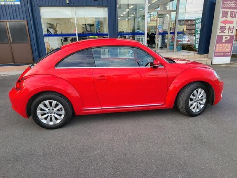 THE BEETLE