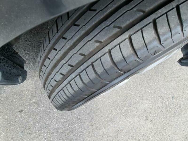 BELTA