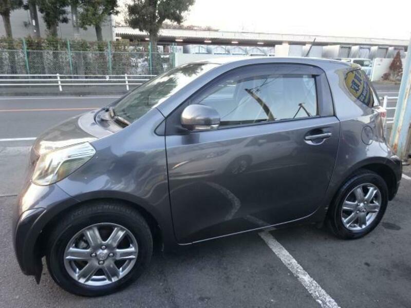 IQ