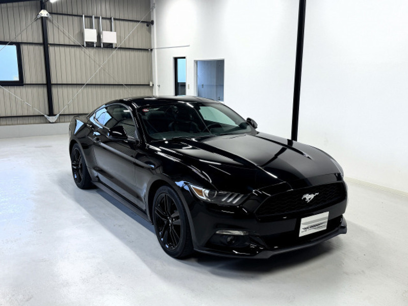 MUSTANG