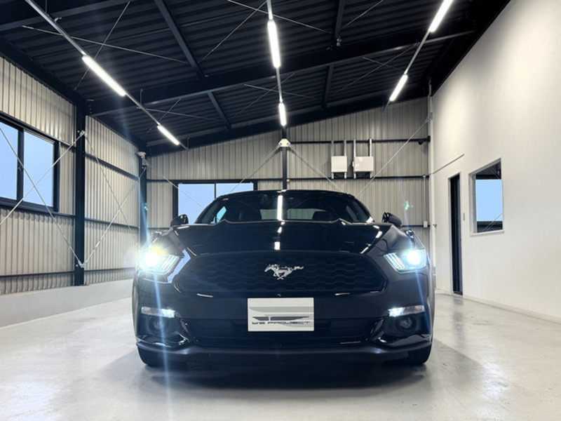 MUSTANG