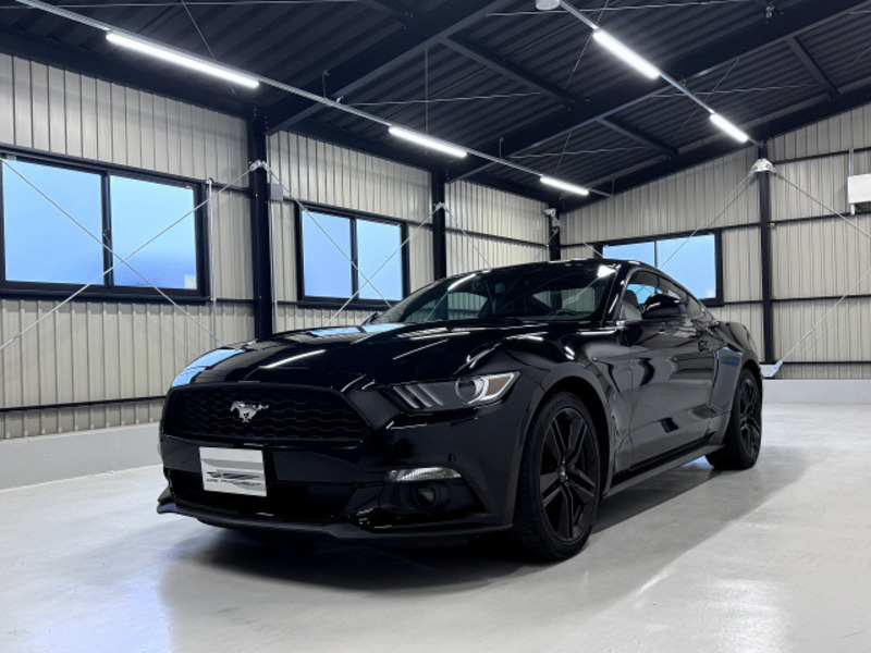 MUSTANG