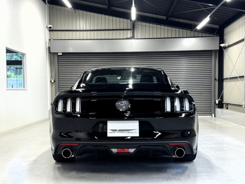 MUSTANG
