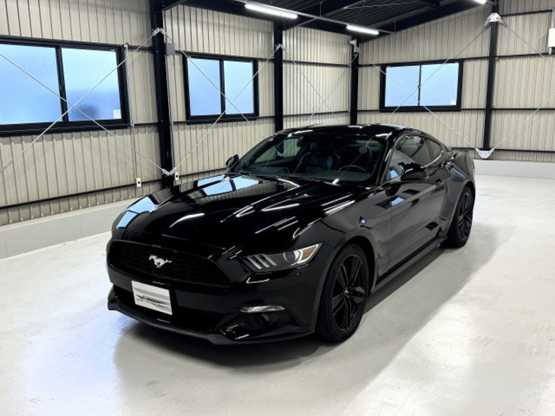MUSTANG