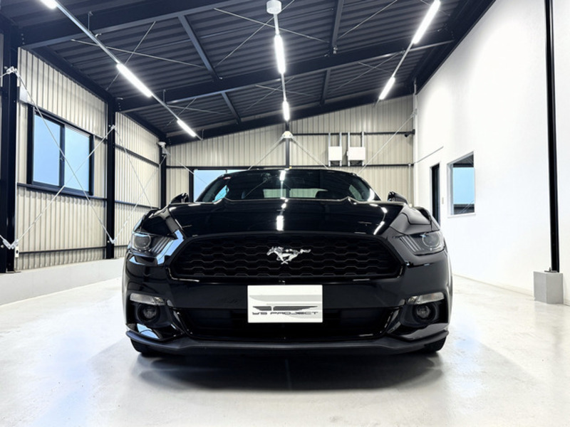 MUSTANG