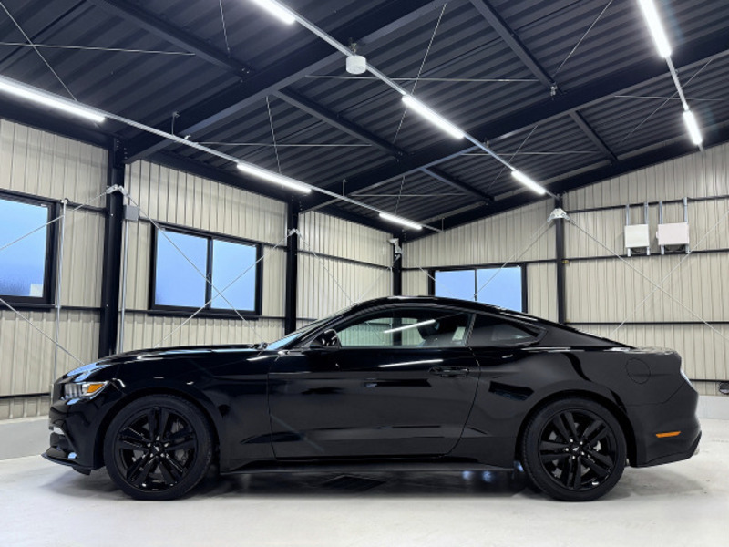 MUSTANG