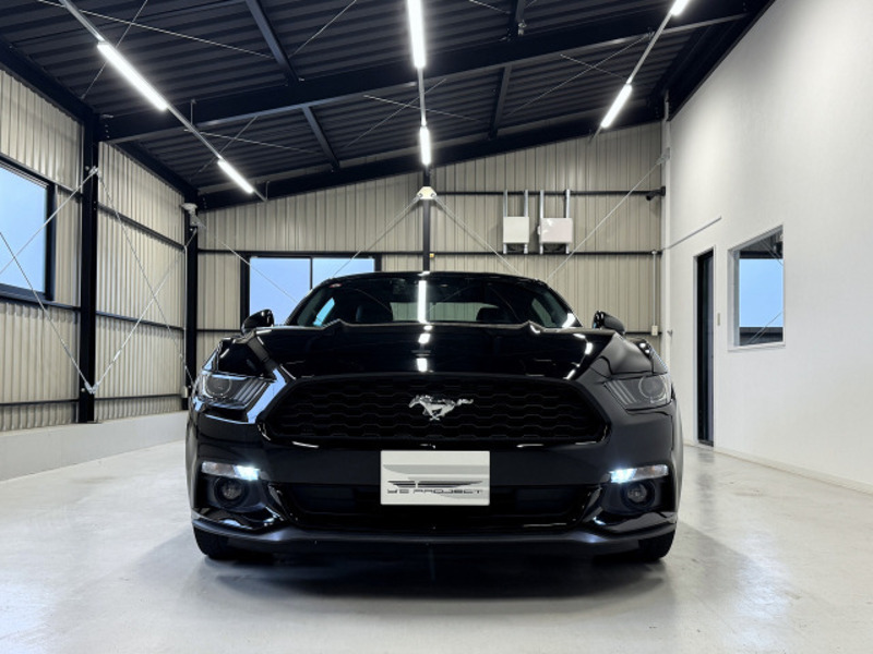 MUSTANG