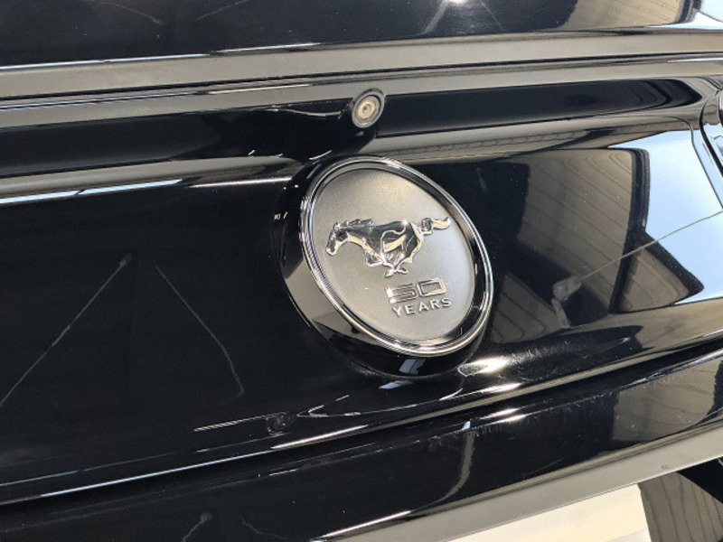 MUSTANG