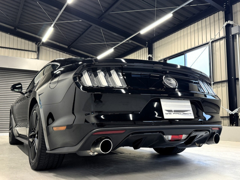 MUSTANG