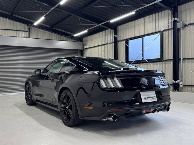 MUSTANG
