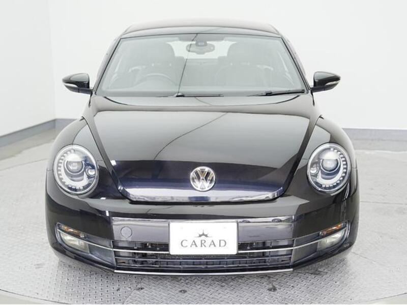 THE BEETLE